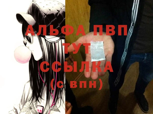 мдпв Абаза